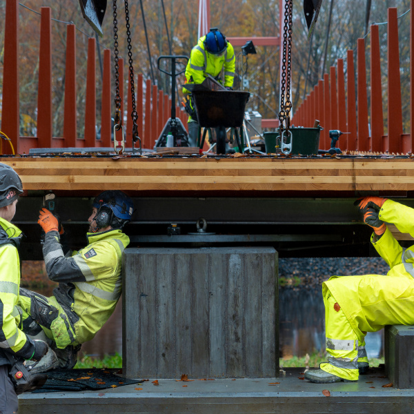 DSC02741-Enhanced-NR