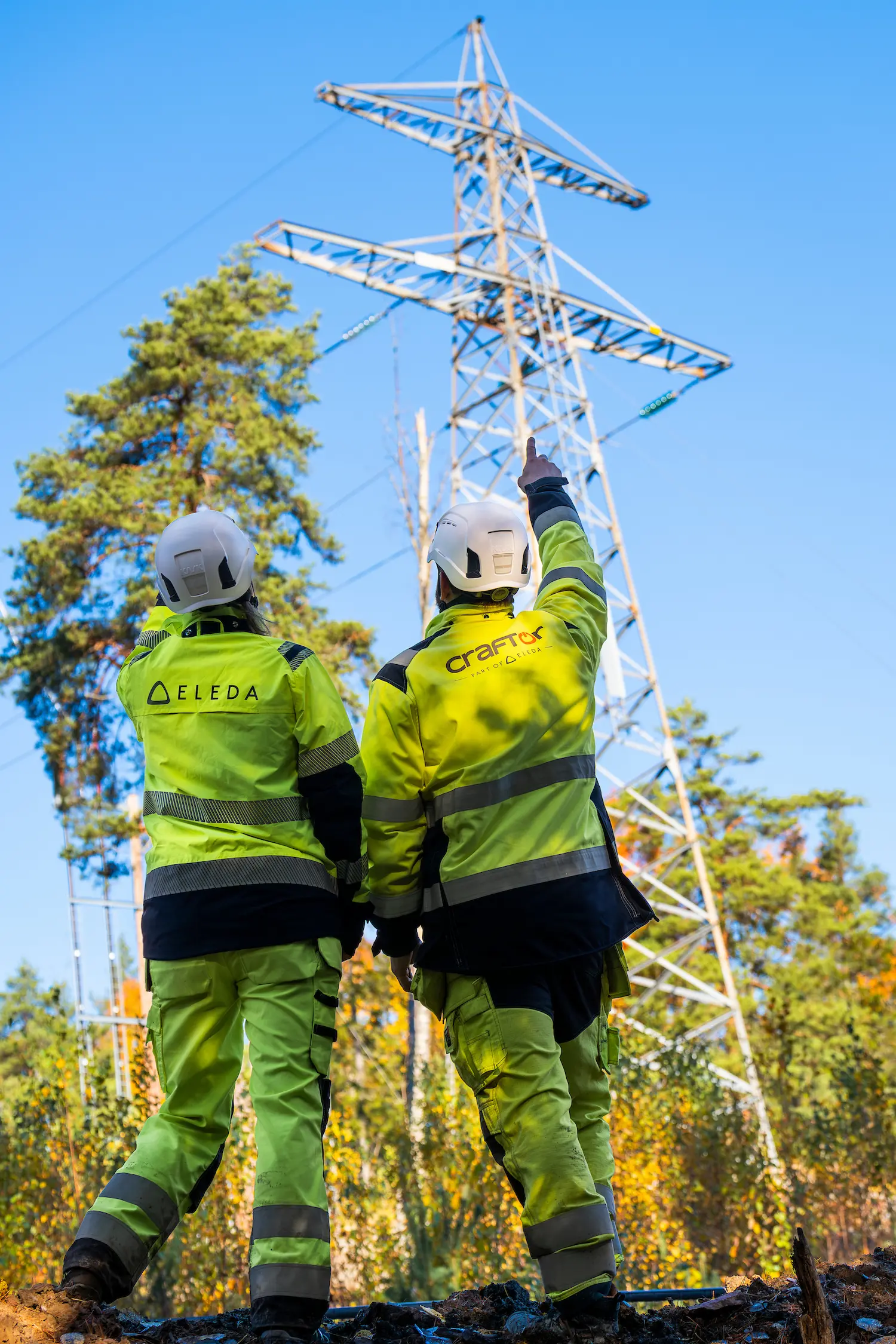 eleda-investment-strategy