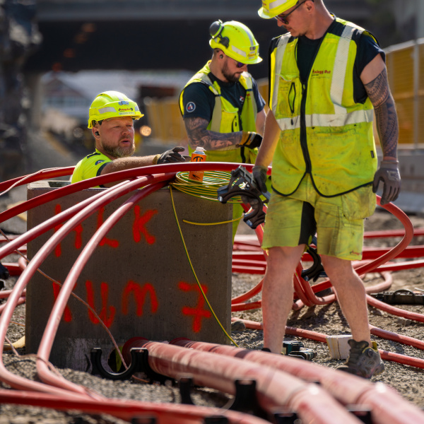 DSC03059-Enhanced-NR